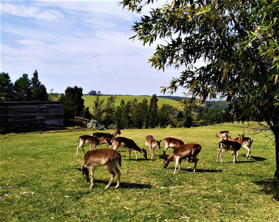 Green Hills Forest Lodge The Crags Exterior foto